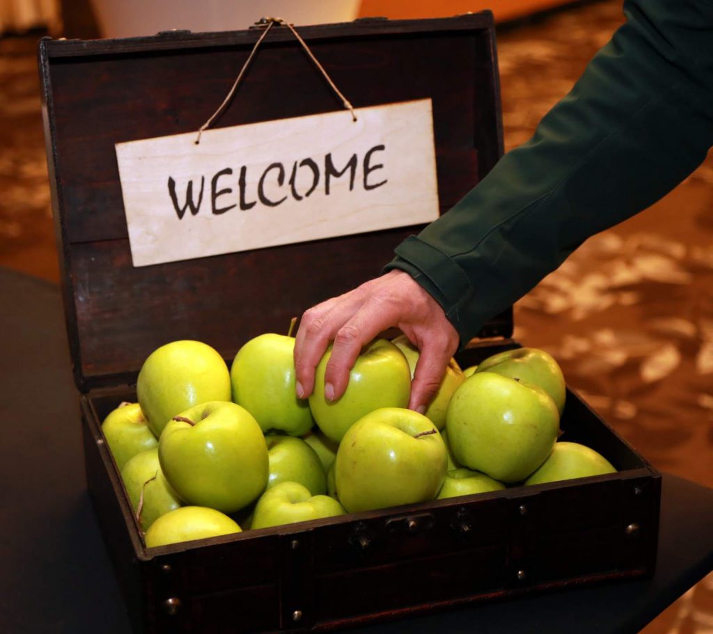 Megkezdődött a világ egyik legnagyobb fúziós technológia konferenciája Budapesten