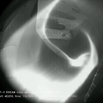 A csillaggyár fürkészei