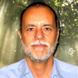 Zoletnik Sándor Wigner Jenő-díjat kapott